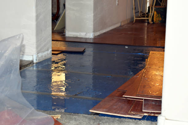 Professional Burst Pipe Cleanup technician working in Elberta, MI
