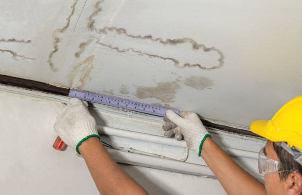 Reliable Burst Pipe Cleanup contractor in Elberta, MI by Water Damage Irwin